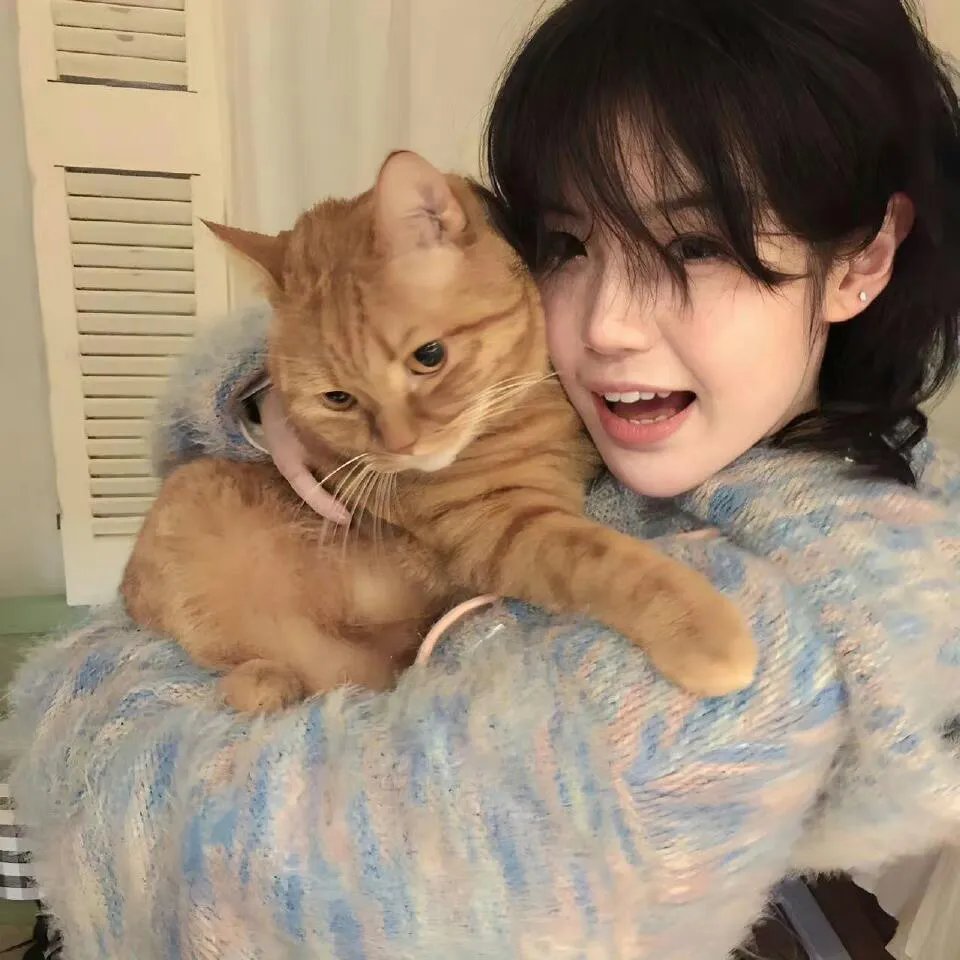 上相亲节目后陆总天天都在掉马甲