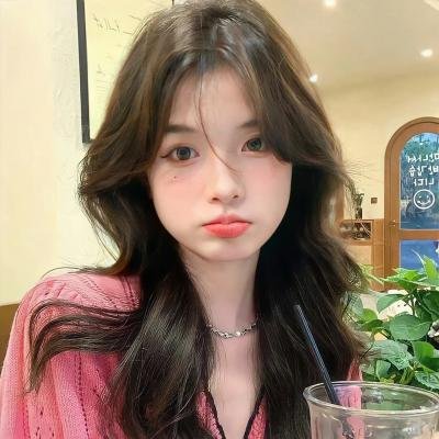 乱马 OVA特别篇 无差别格斗对凤凰